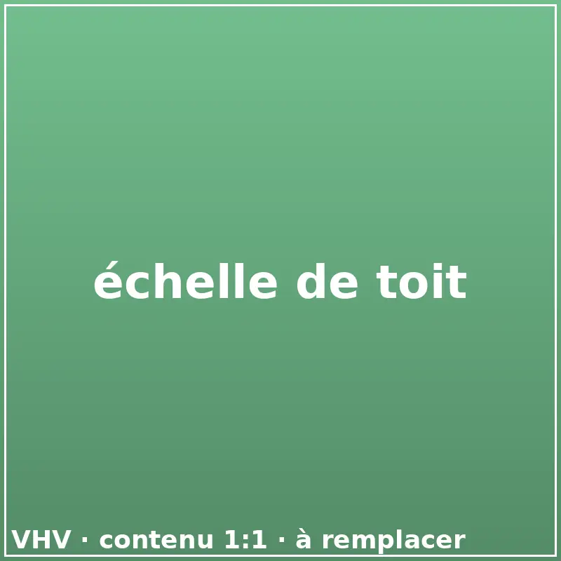 échelle de toit
