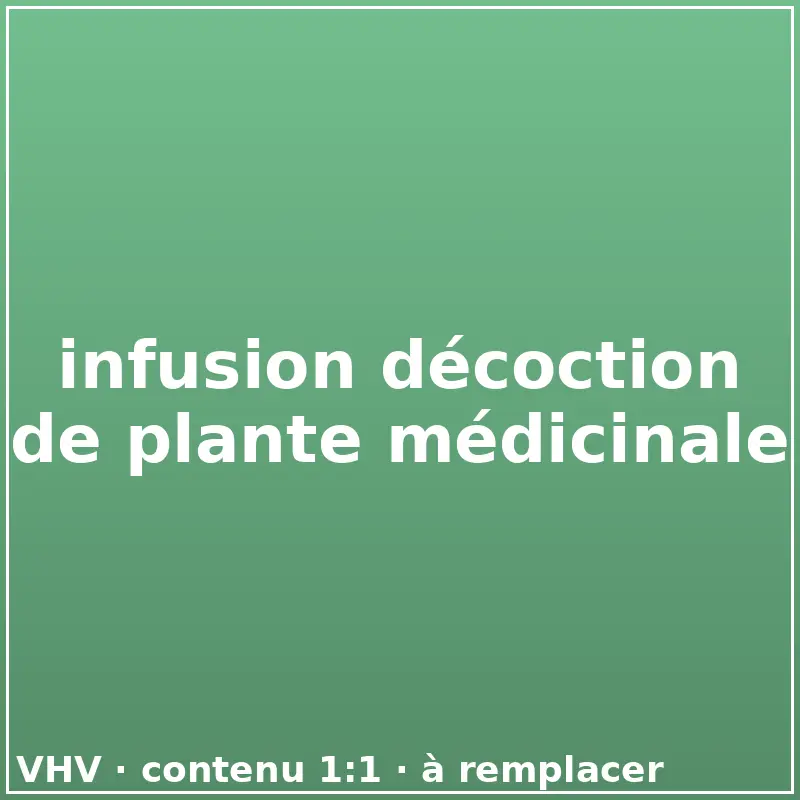 infusion décoction de plante médicinale