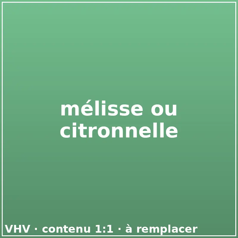 mélisse ou citronnelle