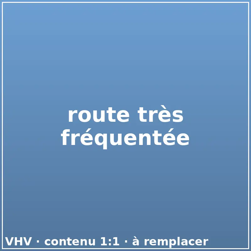 route très fréquentée